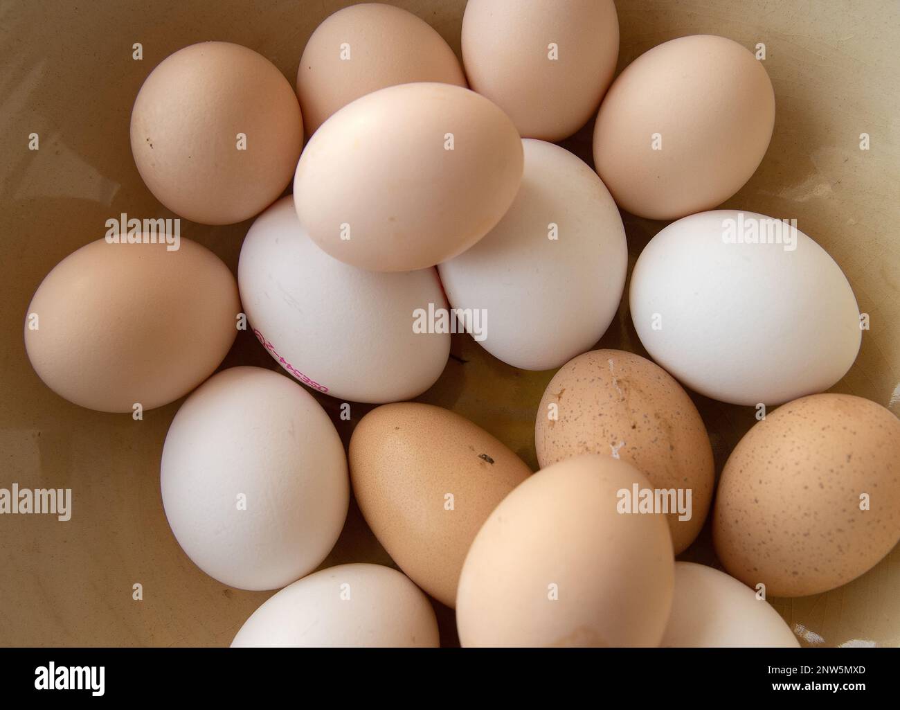 variety of different colored farm fresh eggs in a bowl Stock Photo