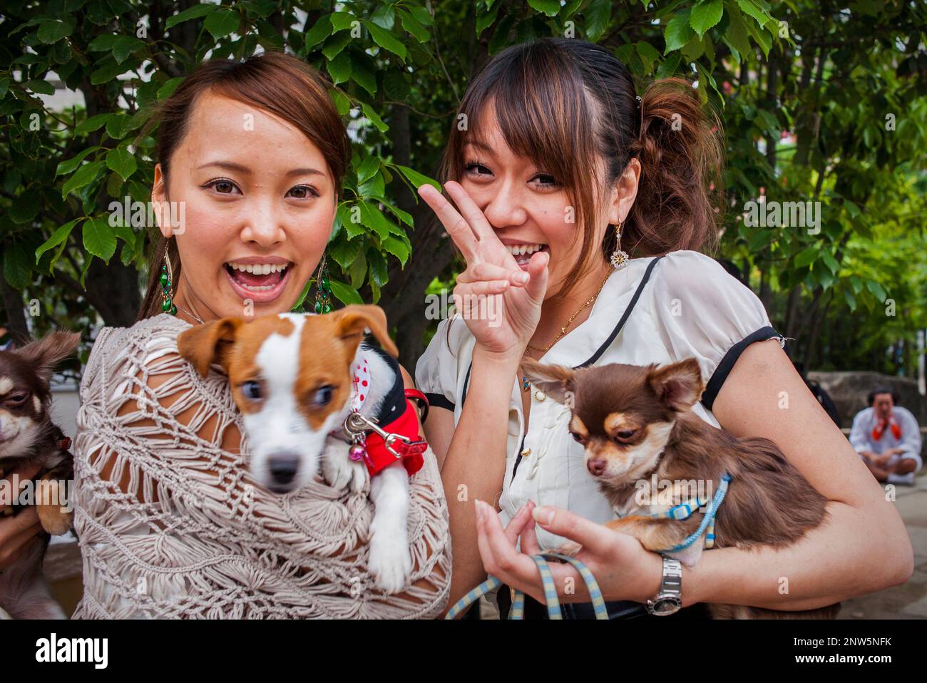Image showcasing women with dogs in Senso-ji Temple, Asakusa,Tokyo city, Japan, Asia ...