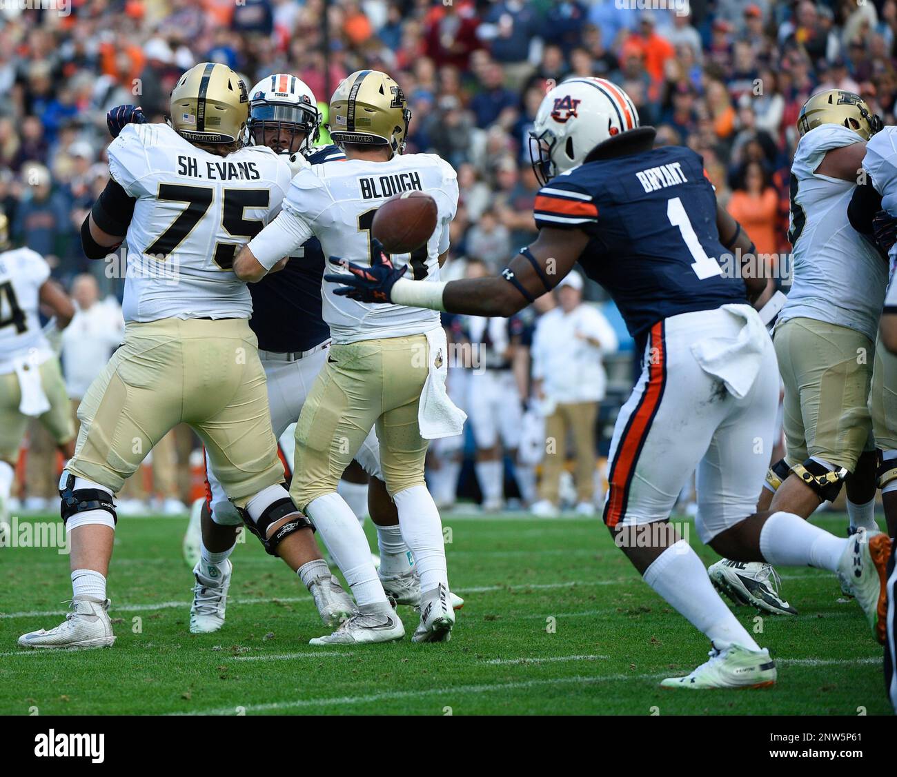 NASHVILLE TN DECEMBER 28 Auburn Tigers linebacker Big Kat