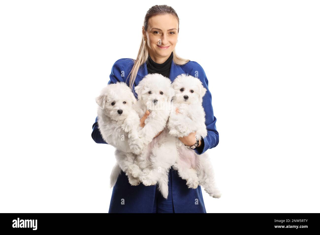 Woman holding three bichon frise puppies and smiling isolated on white background Stock Photo