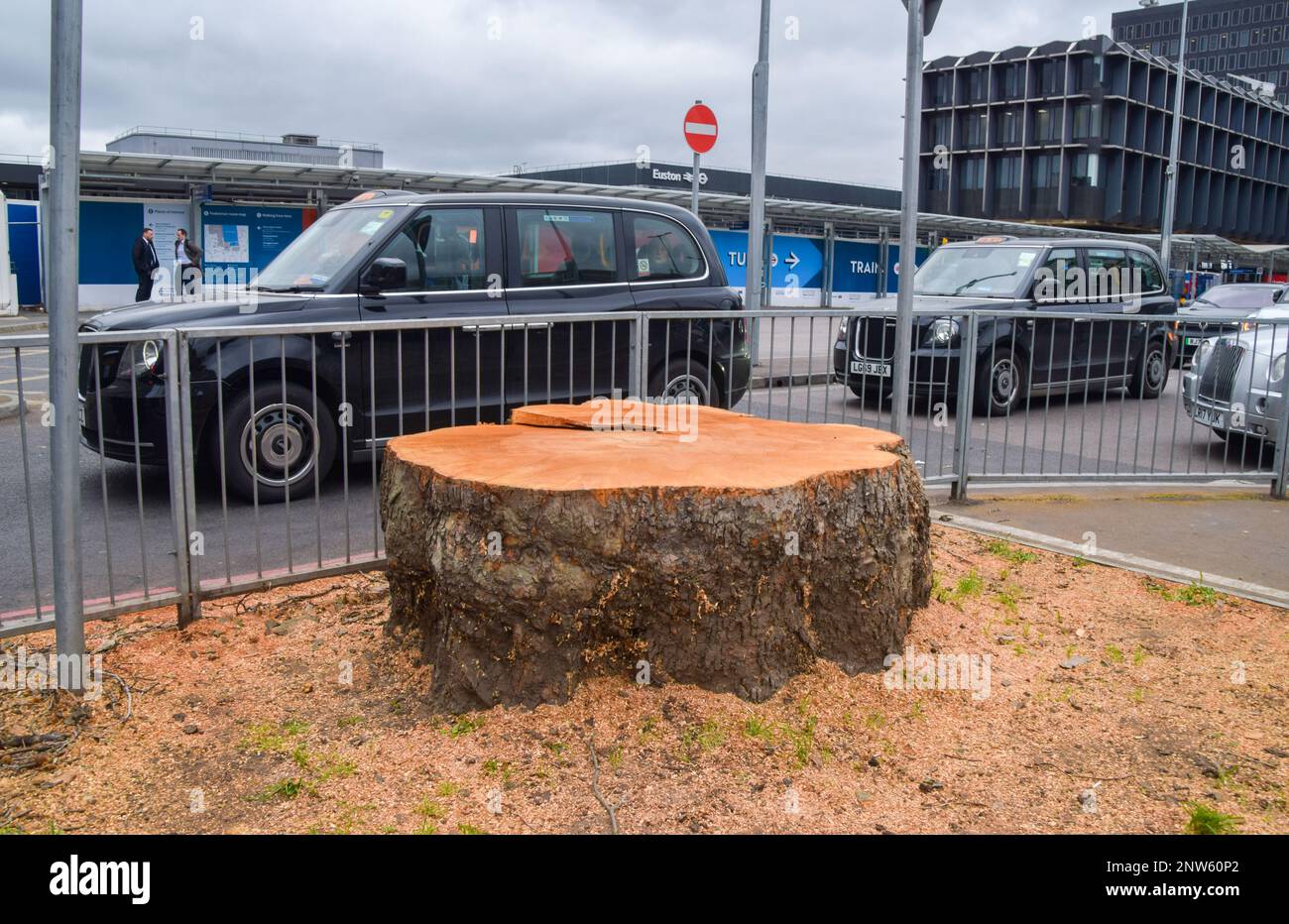 London, UK. 28th Feb, 2023. Most trees, some that are very old, around