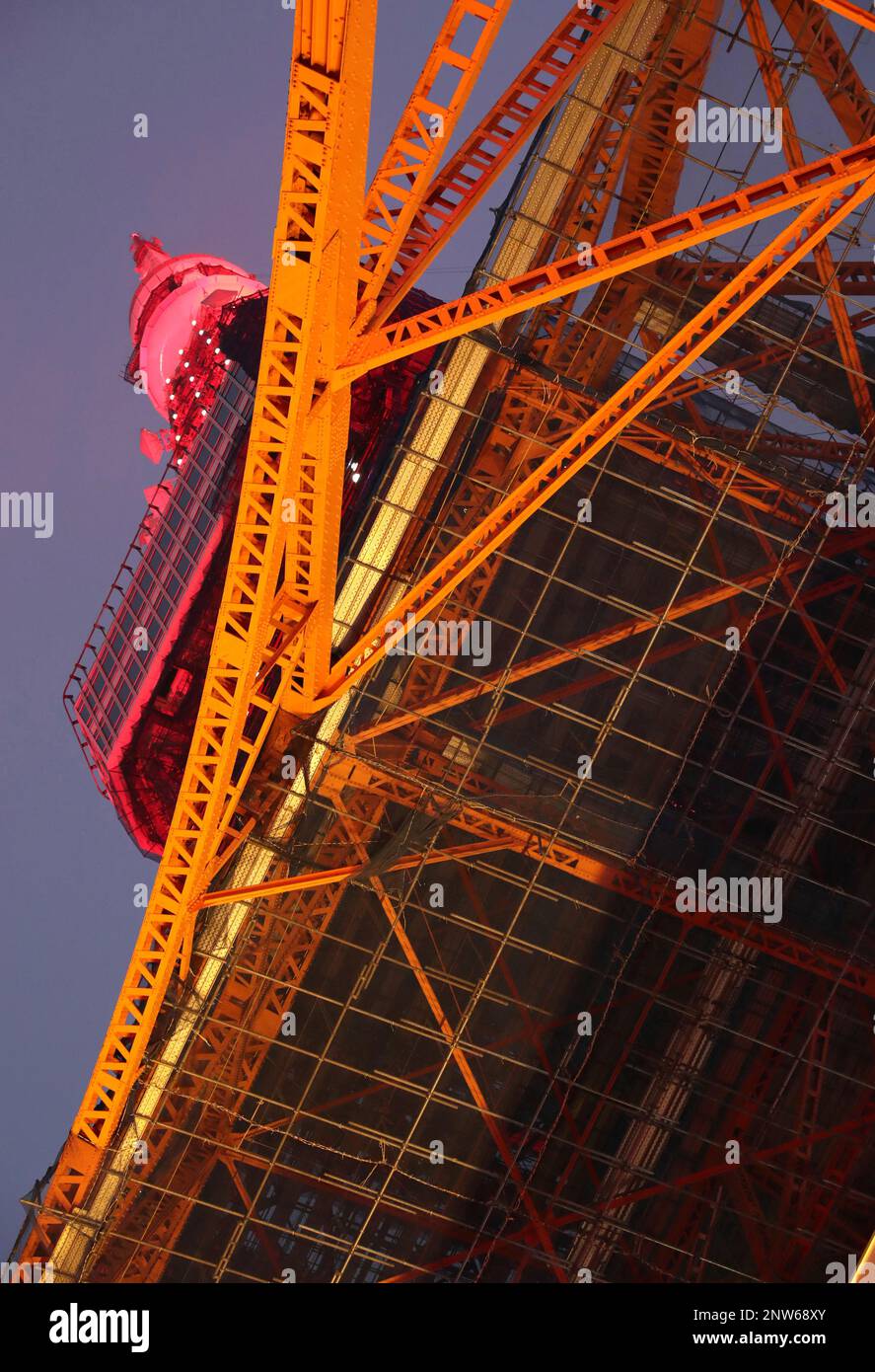 Tokyo Tower is illuminated specially to celebrate its 60th anniversary ...
