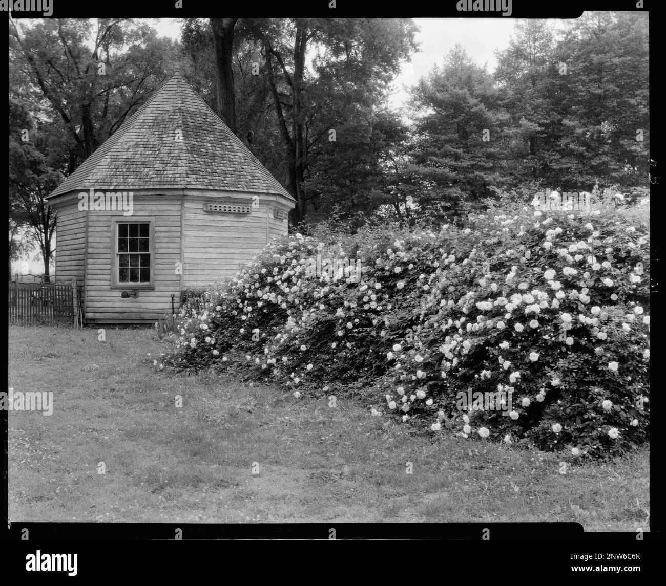 Upper Brandon, Prince County, Virginia. Carnegie Survey of the