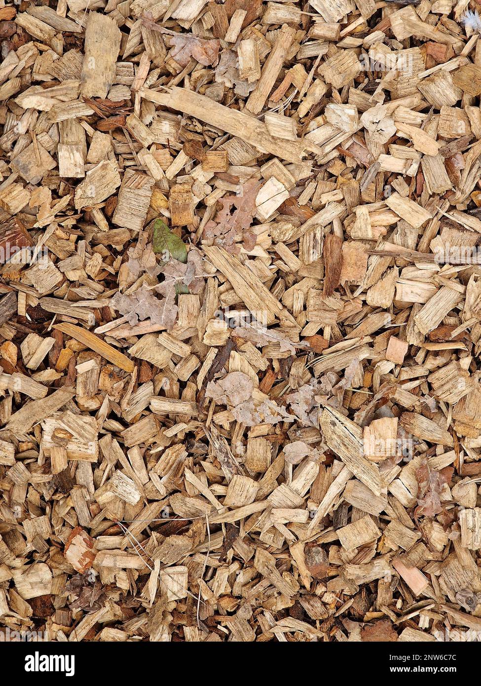 Woodchip wallpaper hires stock photography and images Alamy