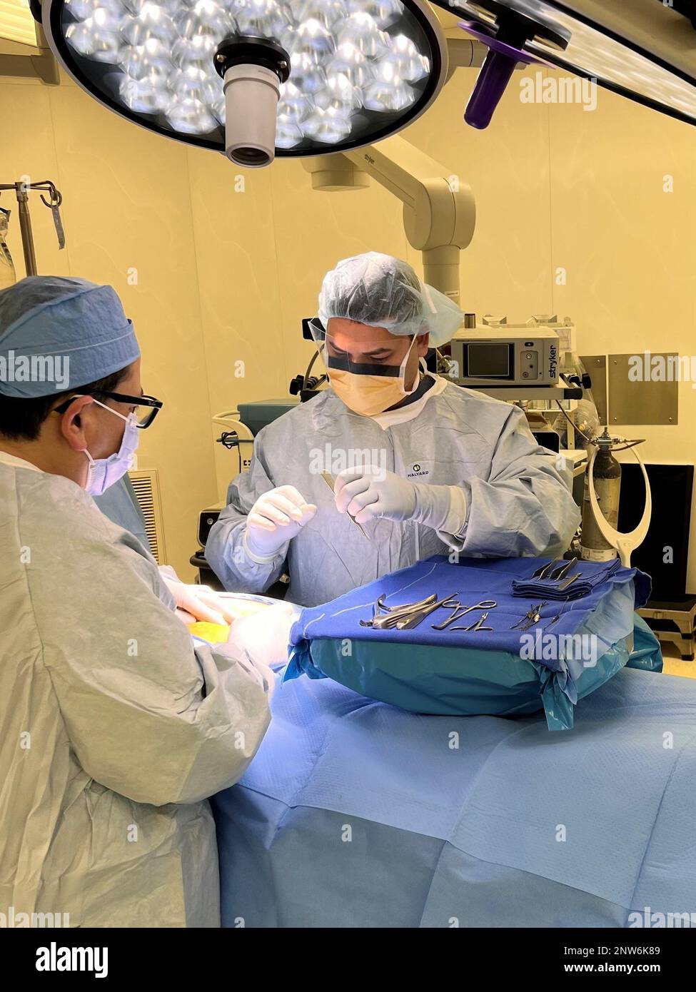 The Society Of Federal Health Professionals AMSUS Awarded The Lewis L the-society-of-federal-health-professionals-amsus-awarded-the-lewis-l