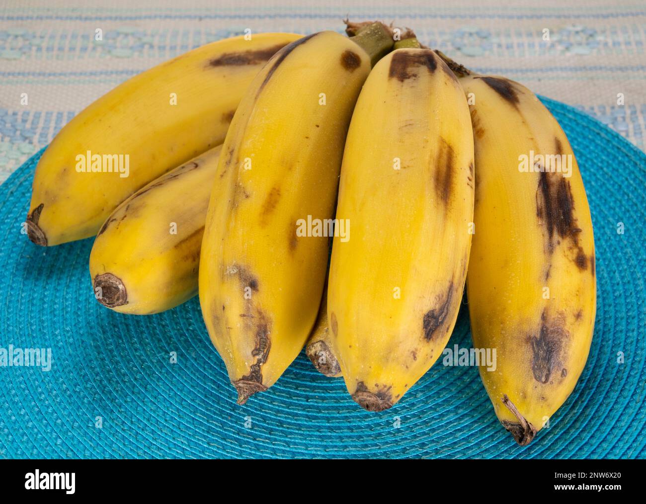 Oriq qizlar bilan rus porno filmlar