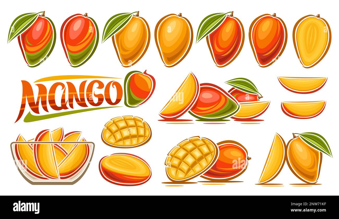 Vector Mango Set, banner with collection of cut out illustrations fruit