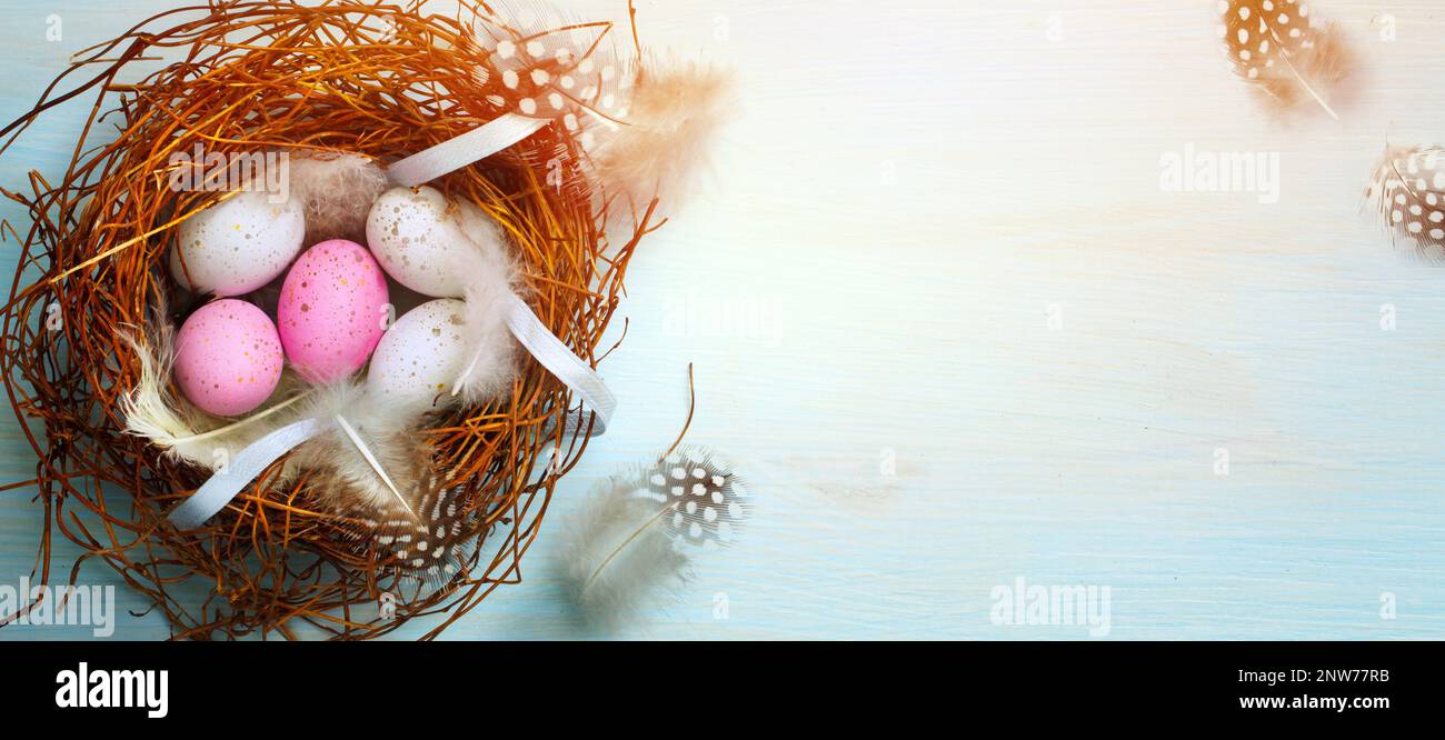 Creative easter flat lay design with easter eggs and decoration nest on blue table Stock Photo