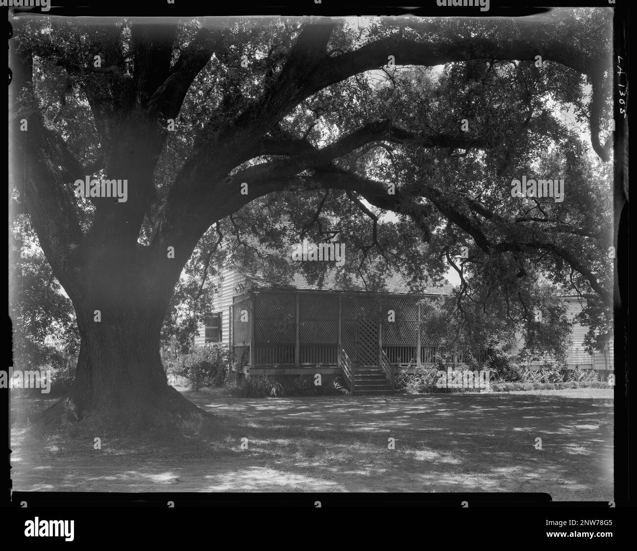 Palo Alto, Donaldsonville, Ascension Parish, Louisiana. Carnegie Survey