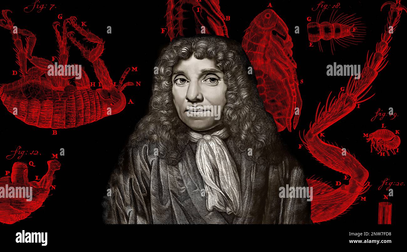 Antonie Philips van Leeuwenhoek, 1632 – 1723, a Dutch microbiologist and microscopist Stock Photo