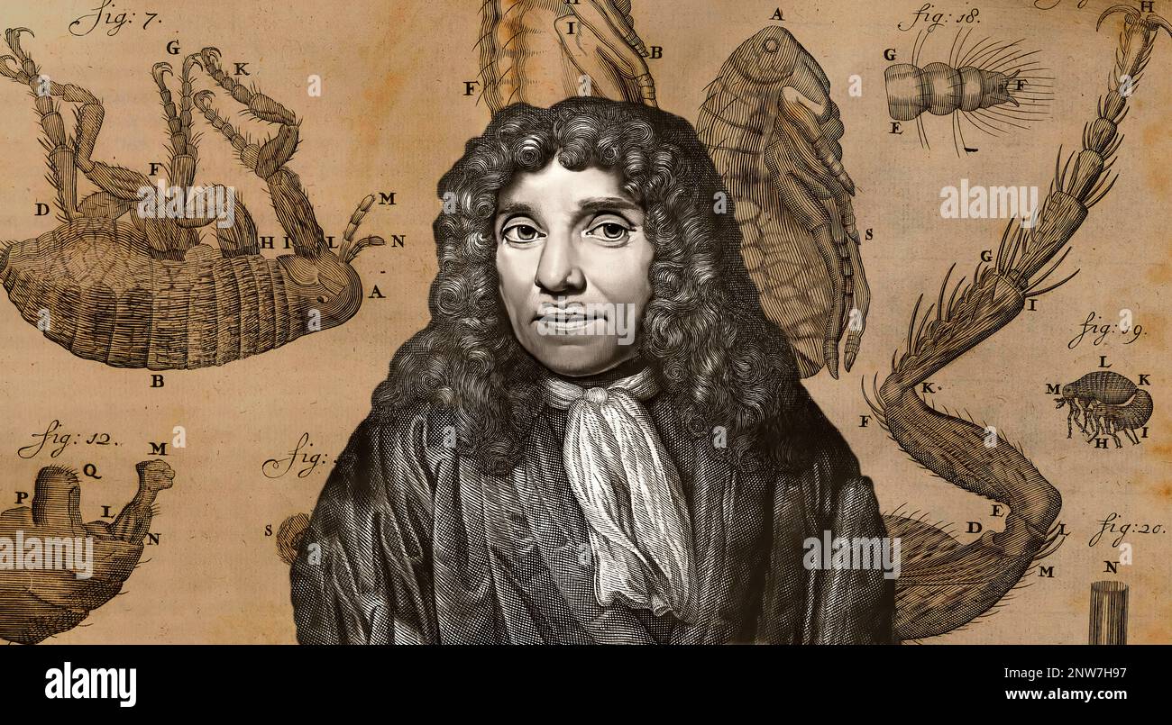 Antonie Philips van Leeuwenhoek, 1632 – 1723, a Dutch microbiologist and microscopist Stock Photo