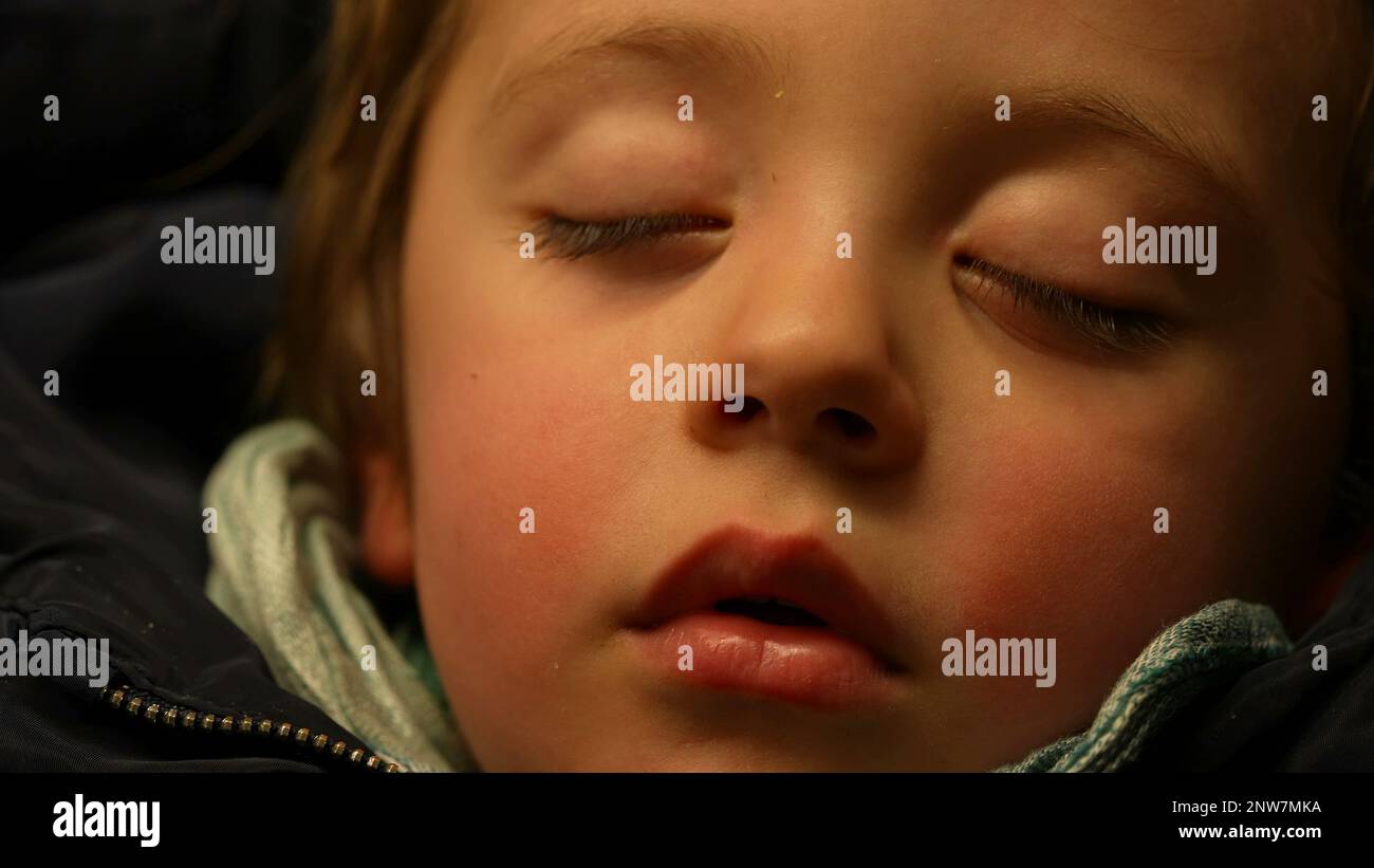 Portrait of sleeping child while traveling inside train. Little boy in ...