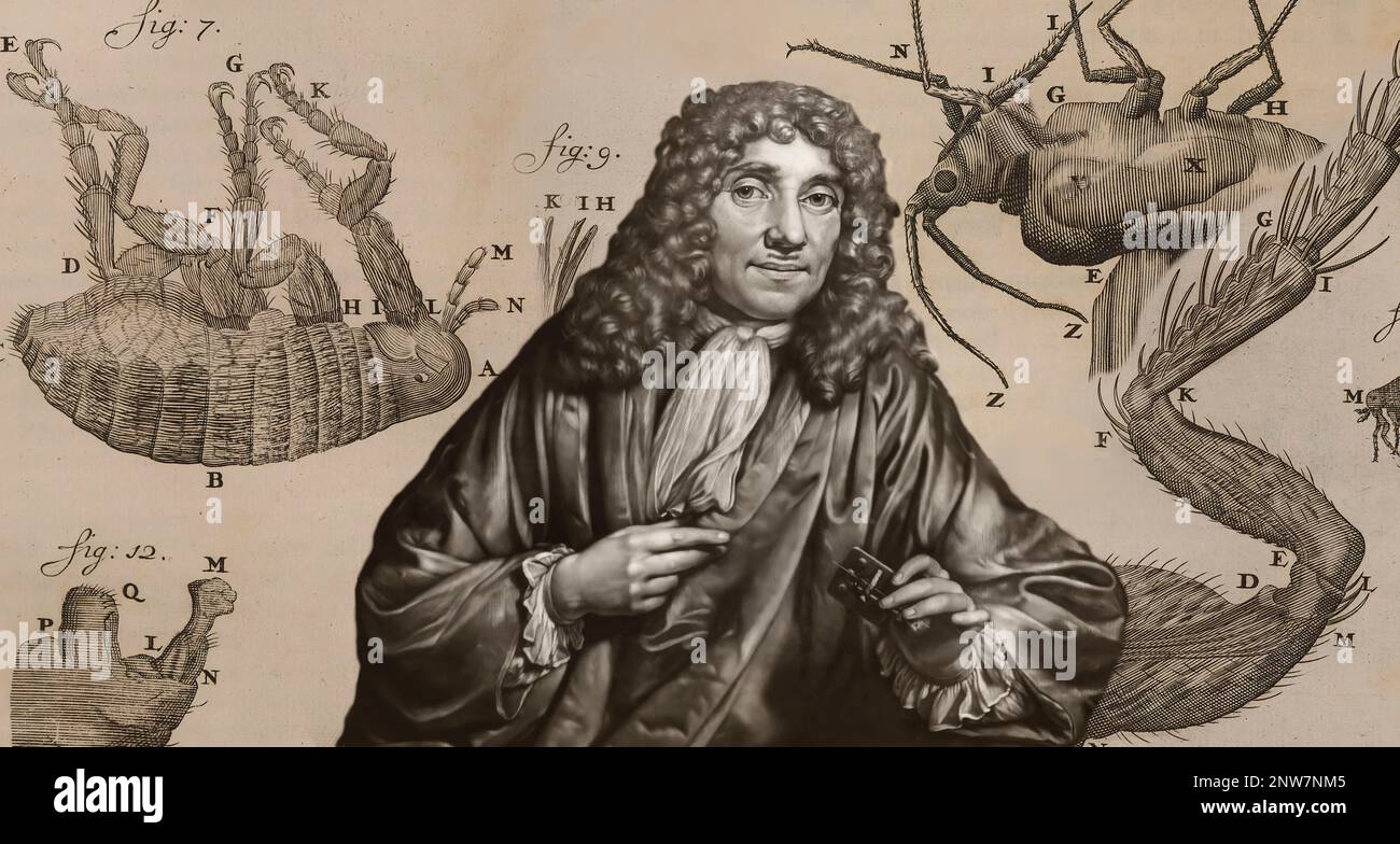 Antonie Philips van Leeuwenhoek, 1632 – 1723, a Dutch microbiologist ...