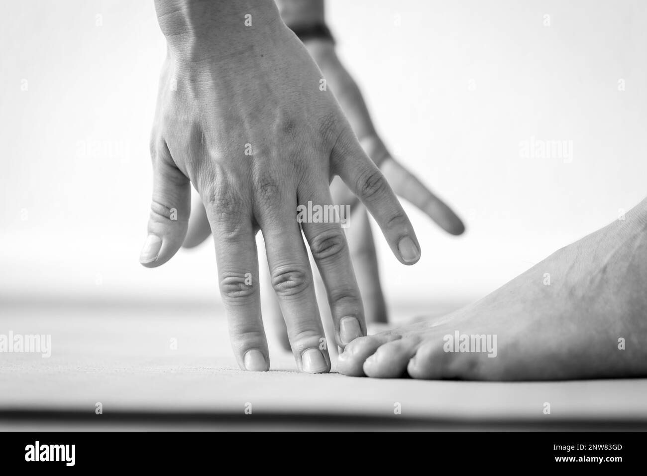 Close-up side view of the hands and feet of a young woman on the way to the Uttanasana or Standing Forward Bend yoga pose. Stock Photo