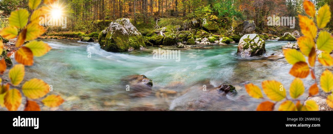 wild river with clear water in beautiful canyon Stock Photo