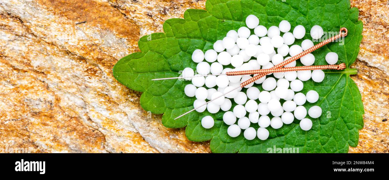 alternative medicine with herbal pills and acupuncture Stock Photo