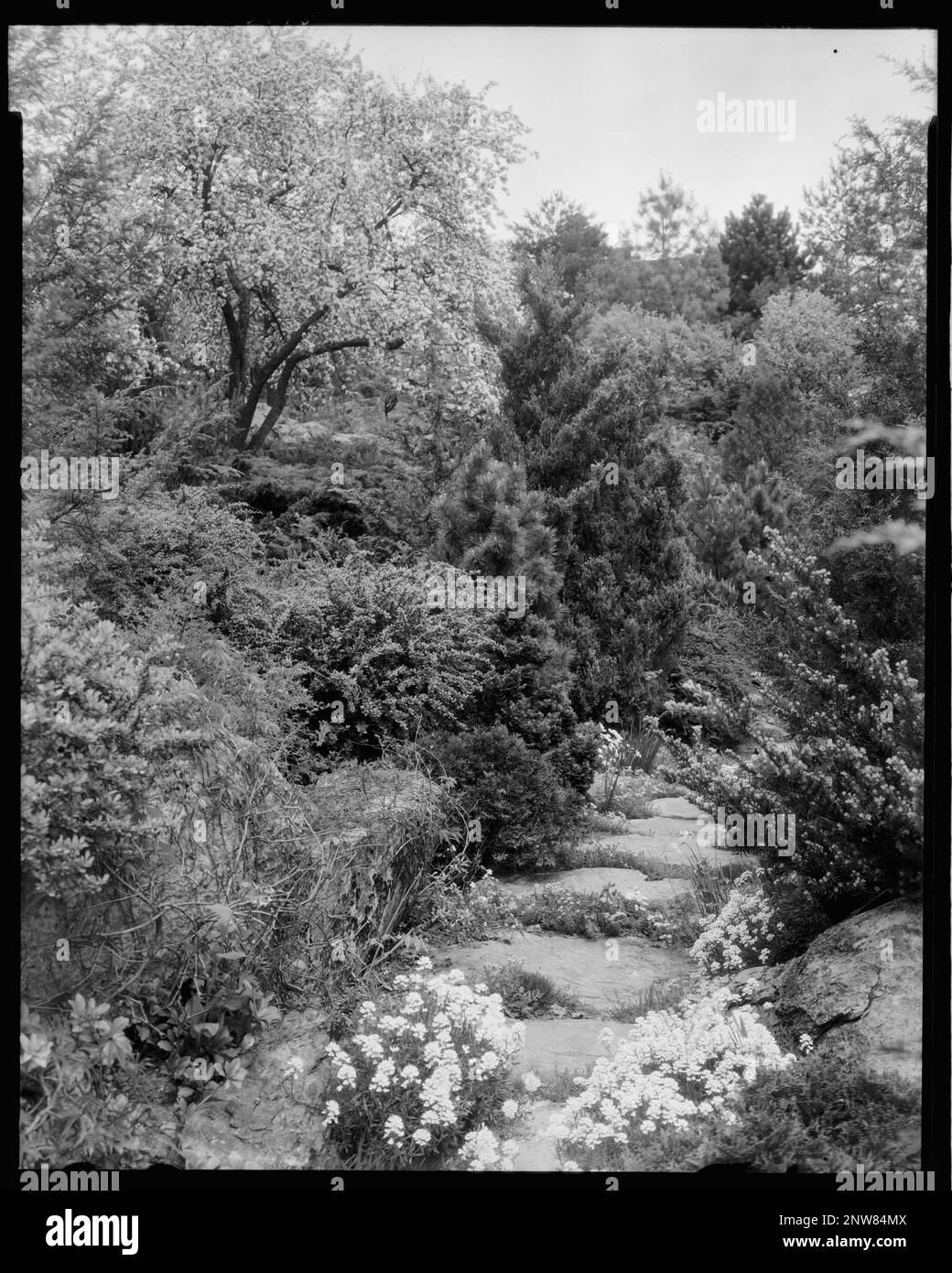 Scalesby, Boyce vic., Fauquier County, Virginia. Carnegie Survey of the