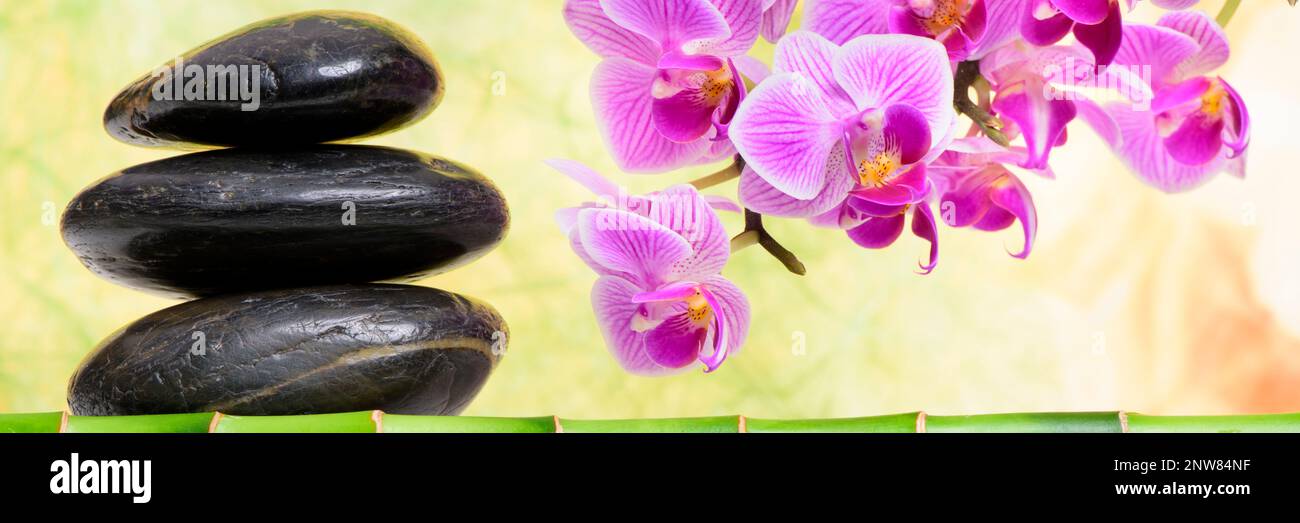 Japanese zen garden with orchid flower Stock Photo