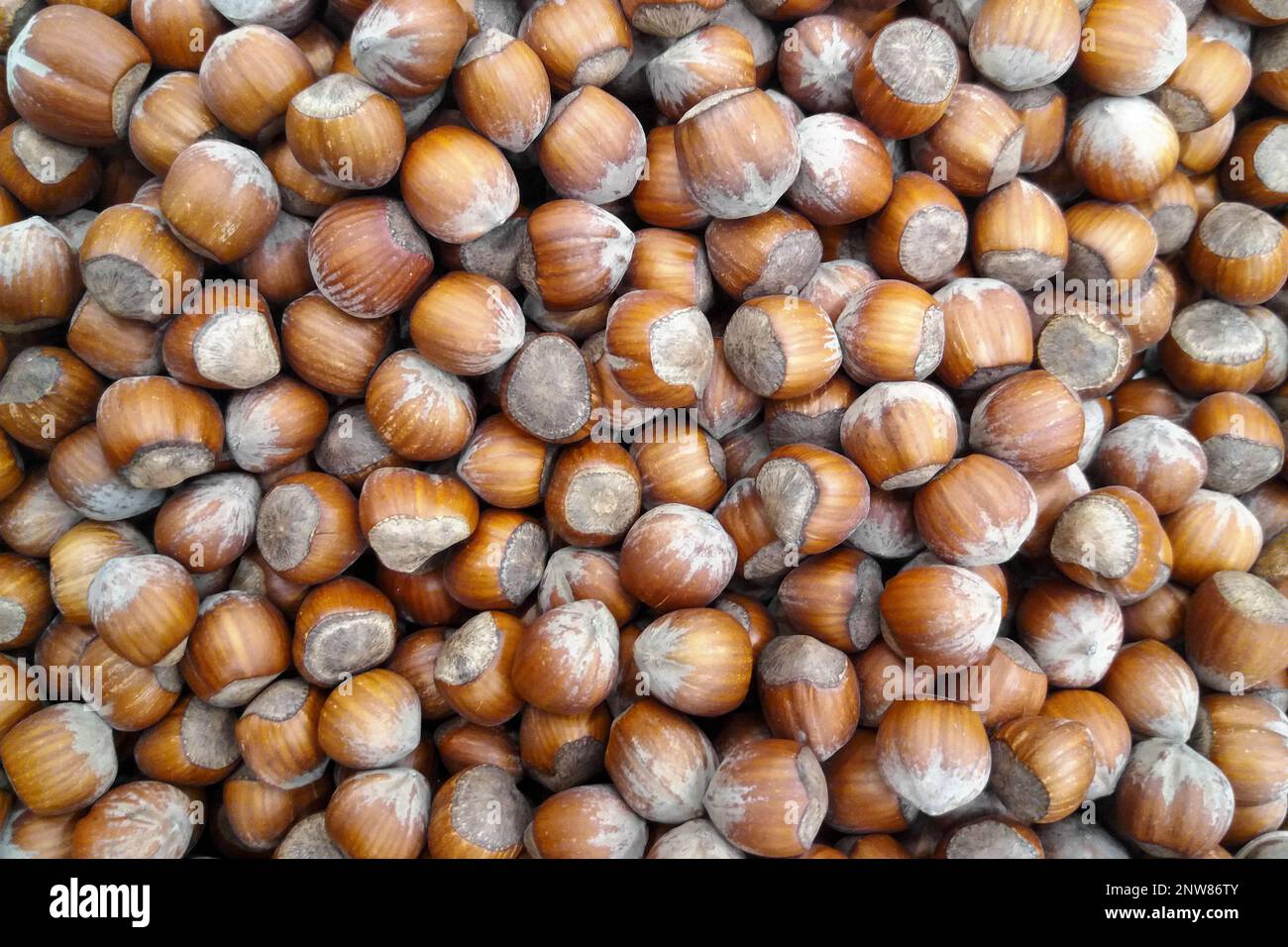 Closeup on a stack of hazelnuts on a market stall Stock Photo Alamy