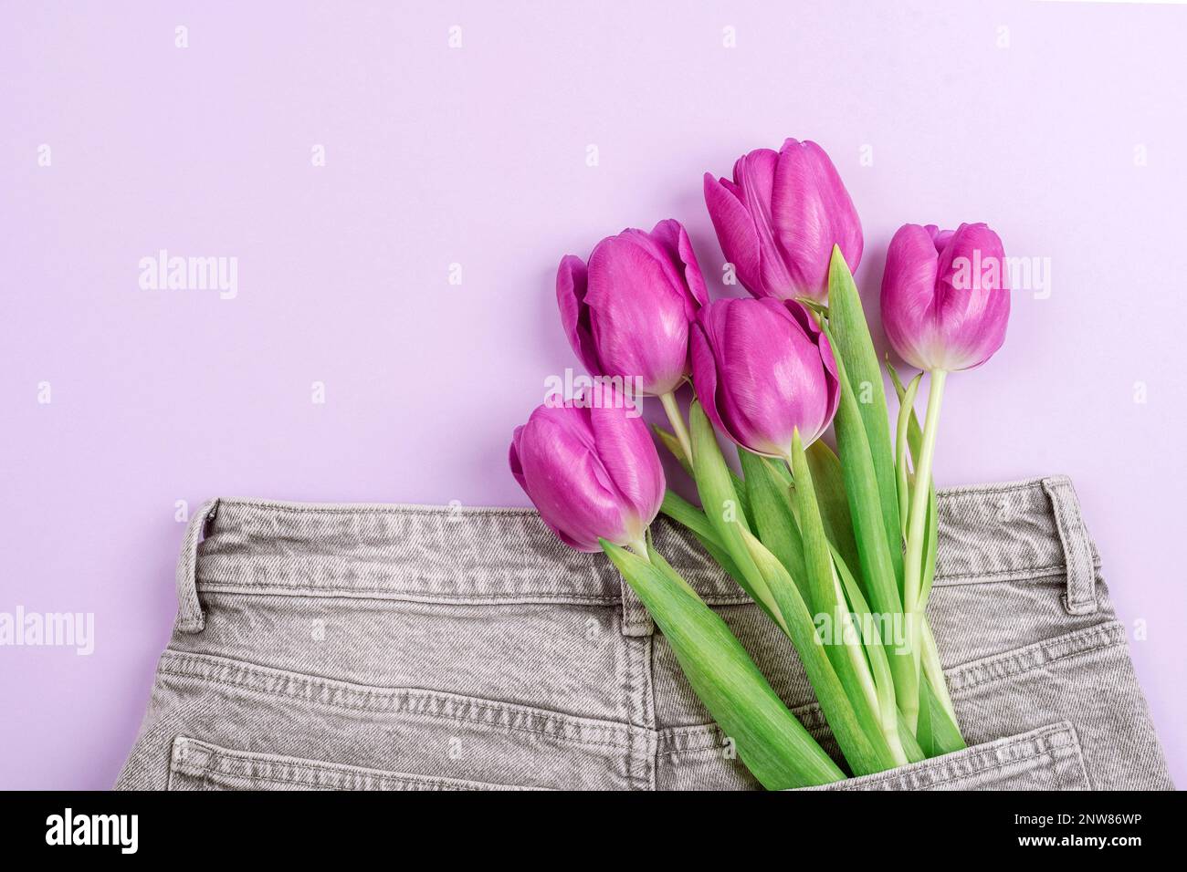 Bouquet of pink tulips in a pocket of gray jeans. Spring holidays concept. Top view, flat lay, copy space. Stock Photo