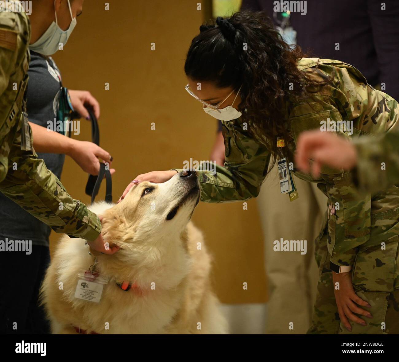 Gabriela gonzalez hi-res stock photography and images - Alamy