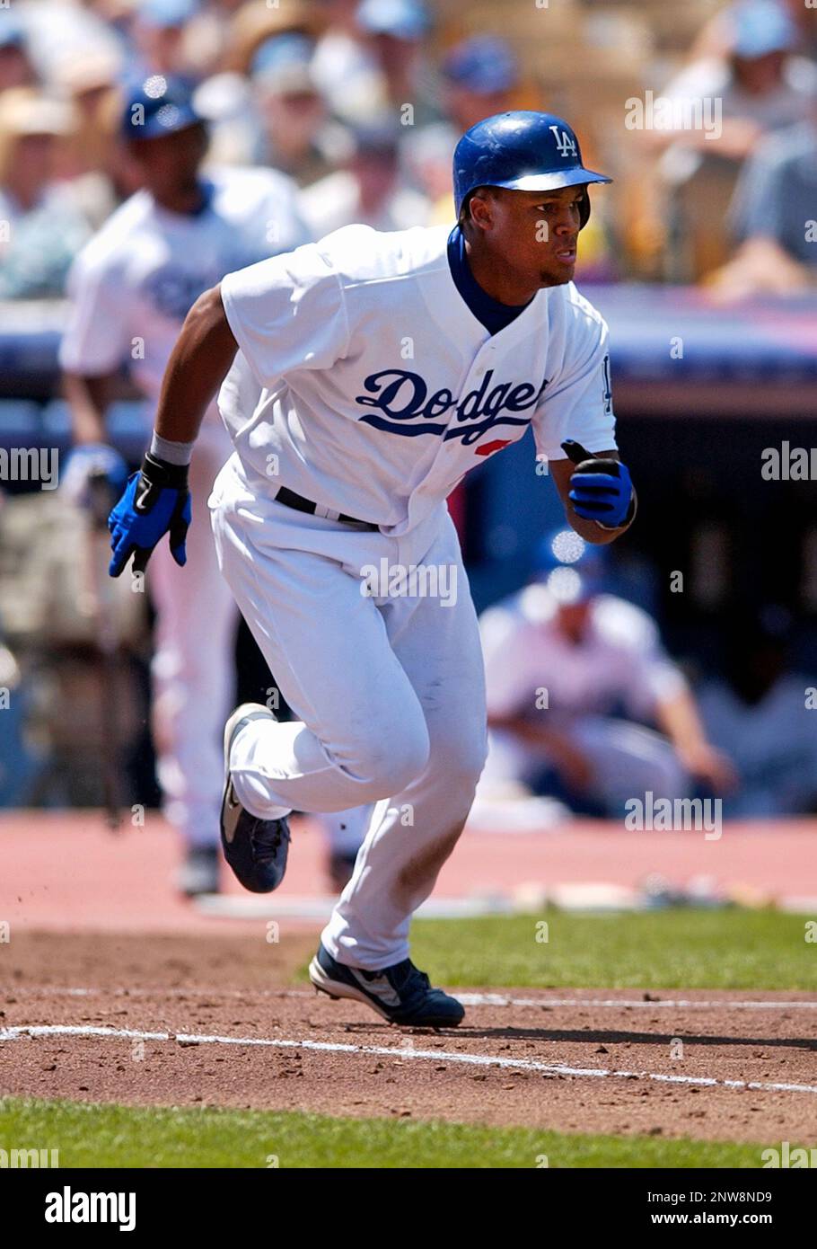 25 Apr. 2004: Los Angeles Dodgers third baseman Adrian Beltre (29) heads  towards first base during an at bat in a game against the San Francisco  Giants played on April 25, 2004