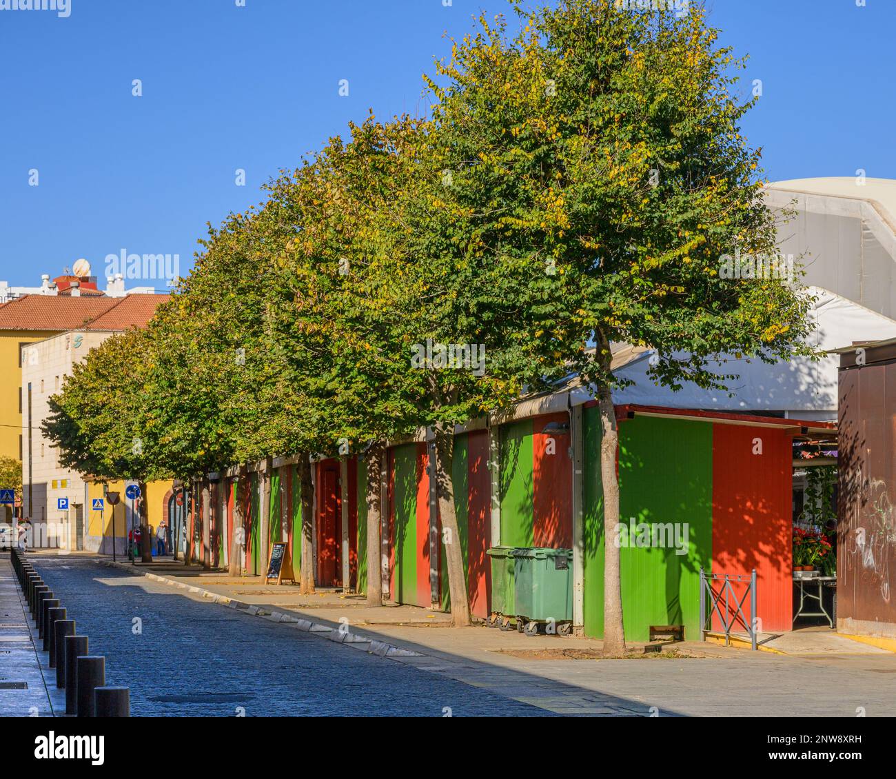 A line of neatly trimmed trees border the red and green-walled market stalls in Plaza de El Cristo, San Cristobal de la Laguna. Stock Photo