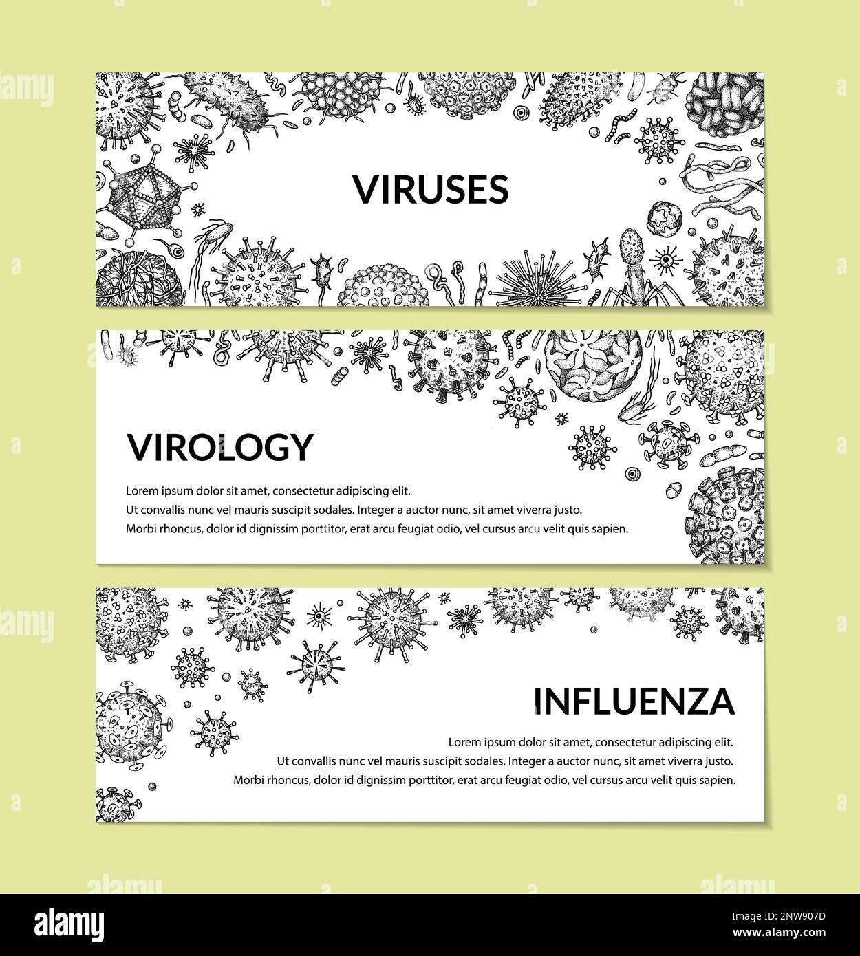 Virus horizontal background in sketch style. Hand drawn bacteria, germ, microorganism. Microbiology scientific design. Vector illustration in sketch s Stock Vector