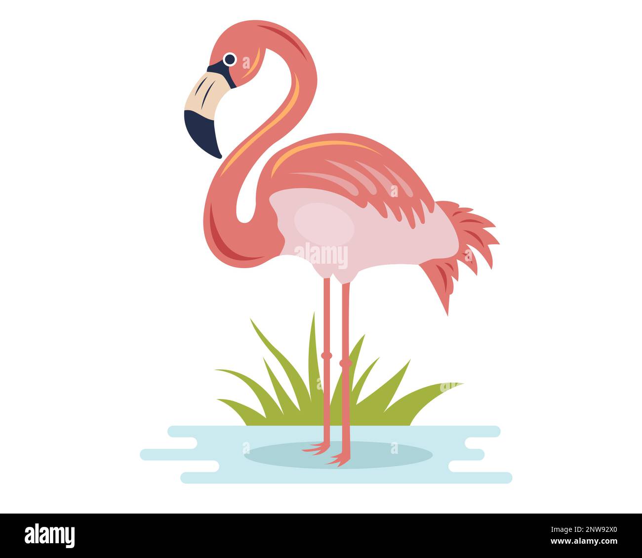 pink flamingo stands on the shore and catches fish. bird character in