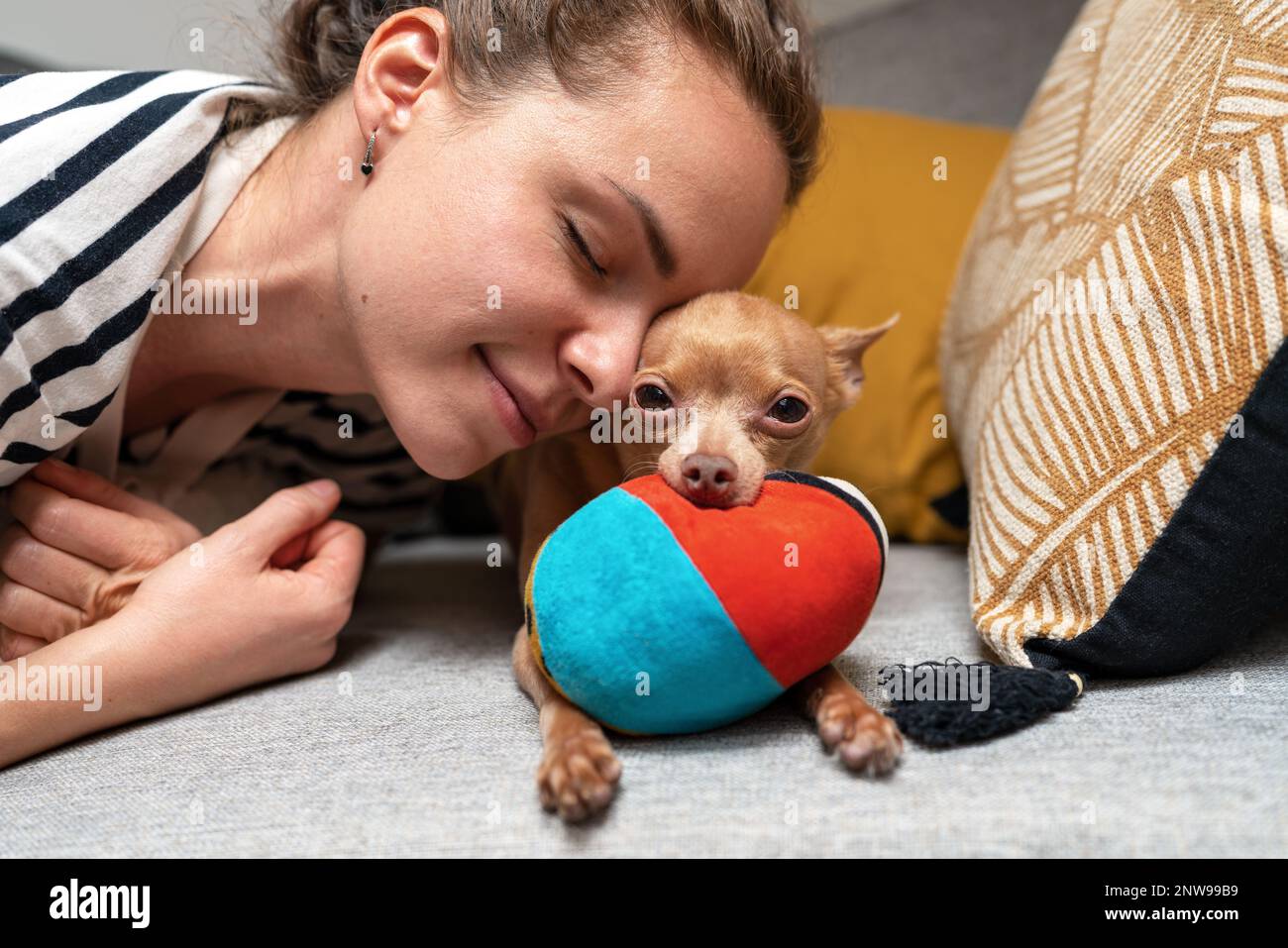 Pets love and tenderness woman pet owner and her small dog Toy Terrier. Stock Photo