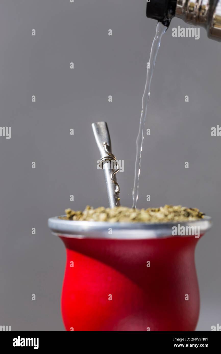 Isolated red gourd with Latin American Ilex paraguariensis tea infusion