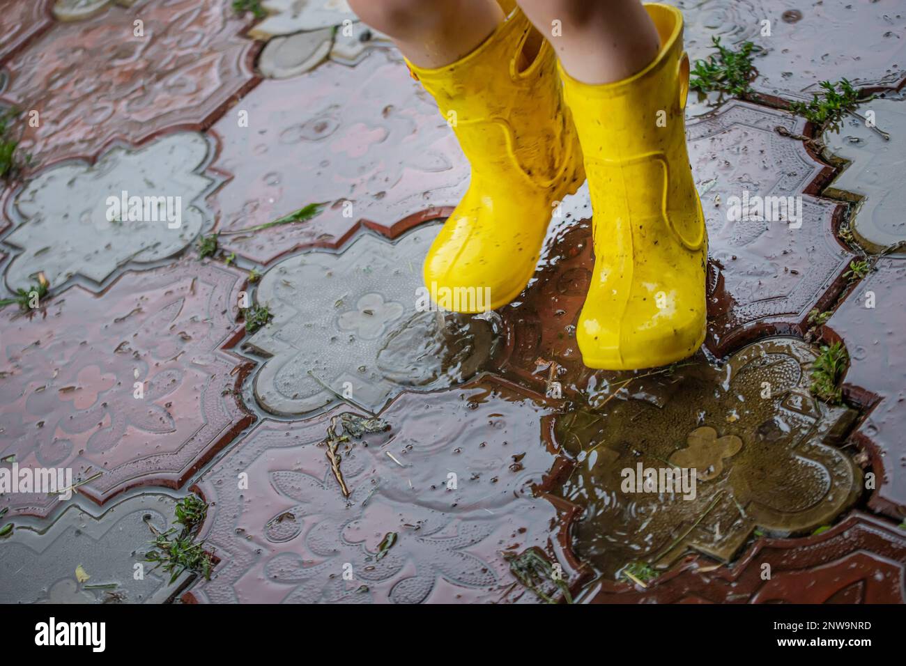 A child in yellow rubber boots during the rain gallops through puddles ...