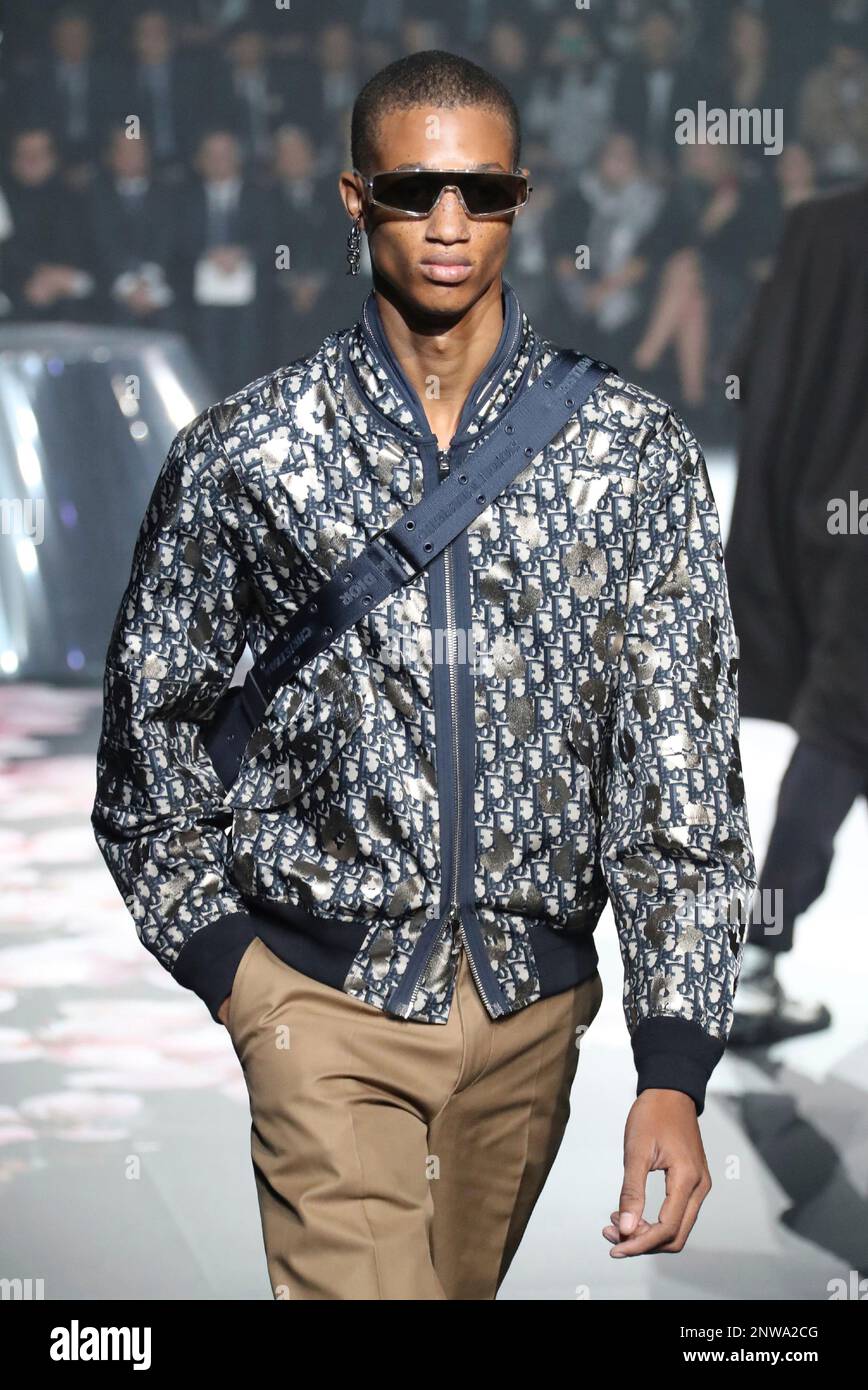 Dior pre fall 2019 men's online