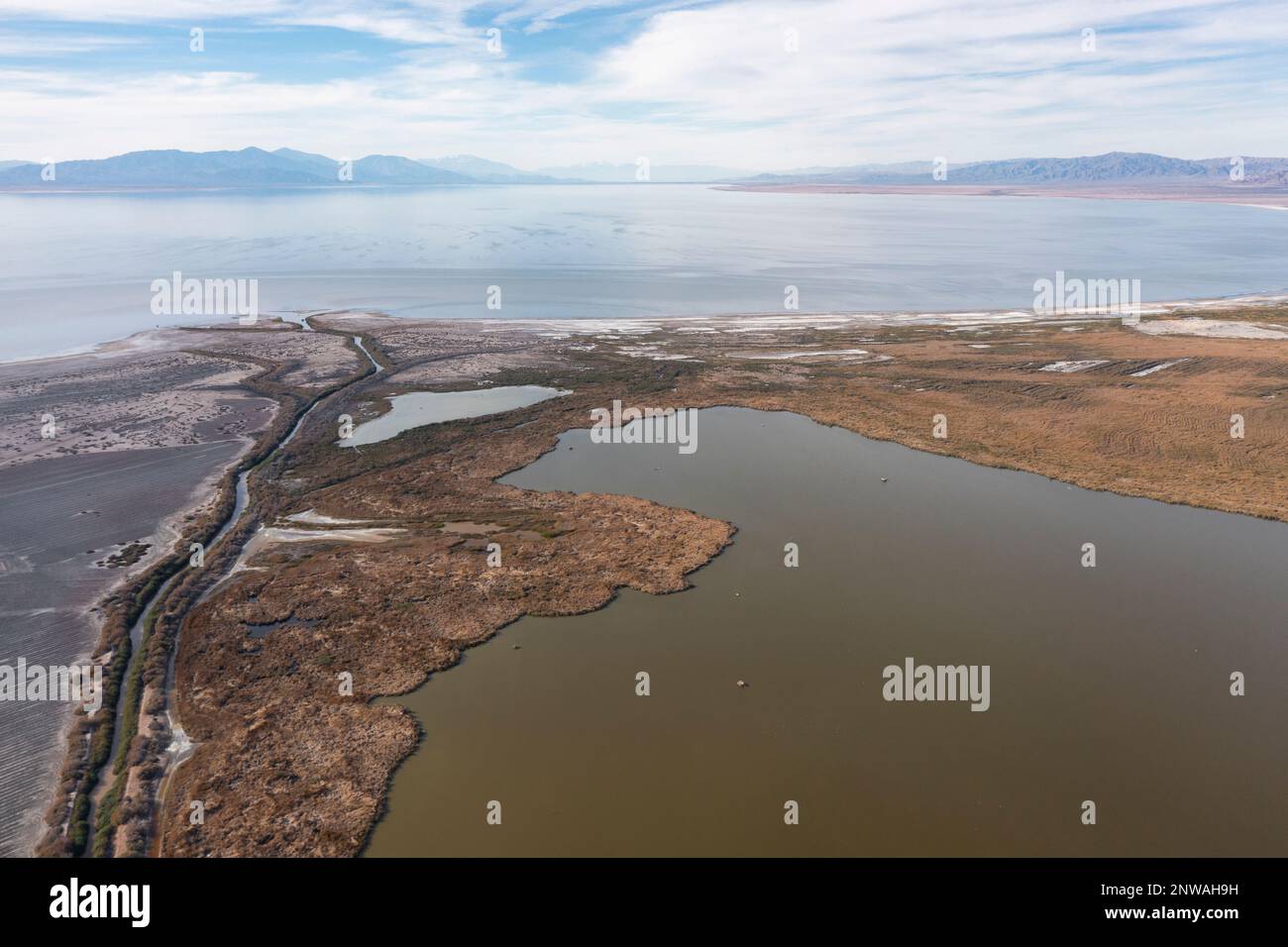 Newly created wetlands attempt to mitigate the environmental crisis playing out at the Salton Sea, a rapidly shrinking lake in the California desert. Stock Photo