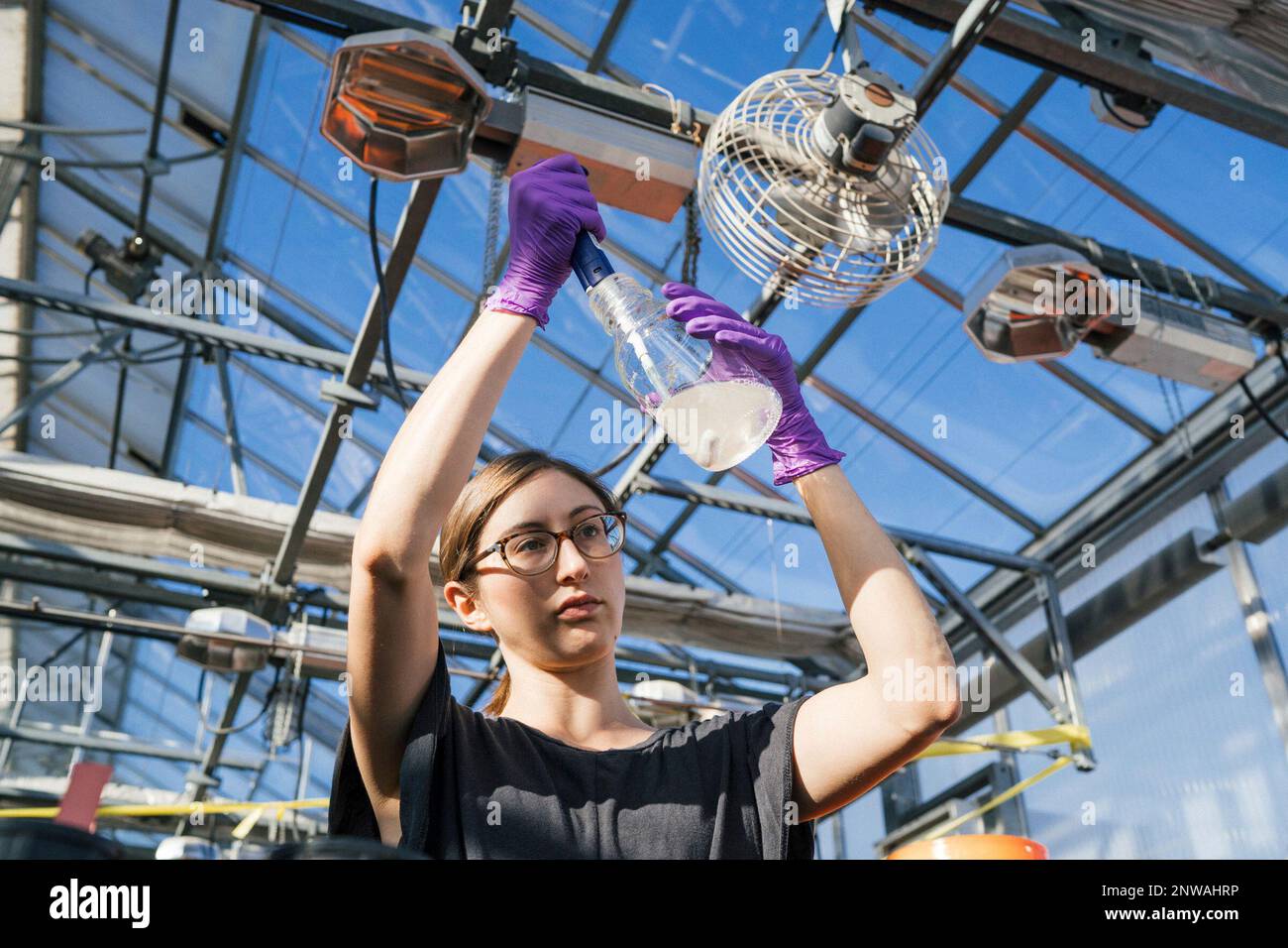 University of Minnesota plant pathology researcher Mariah Dorner uses a