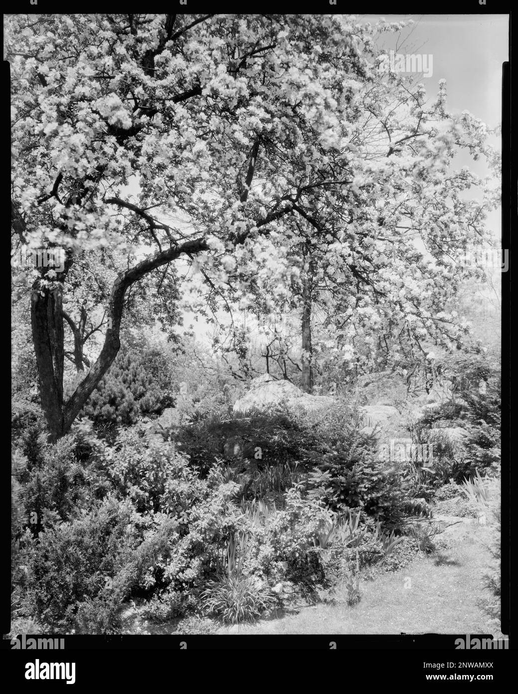 Scalesby, Boyce vic., Fauquier County, Virginia. Carnegie Survey of the