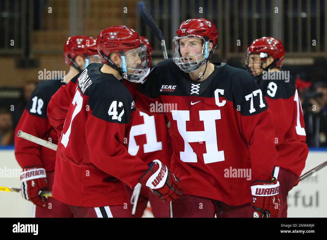 NEW YORK, NY - NOVEMBER 24: Harvard Crimson forward Lewis Zerter ...