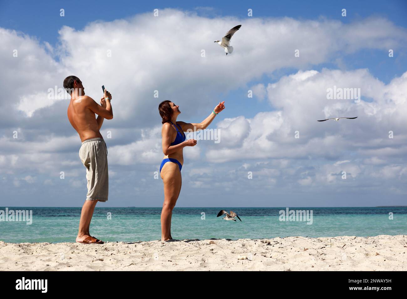 Tourists feed the seagulls on ocean beach. Man and woman having fun on tourist resort Stock Photo