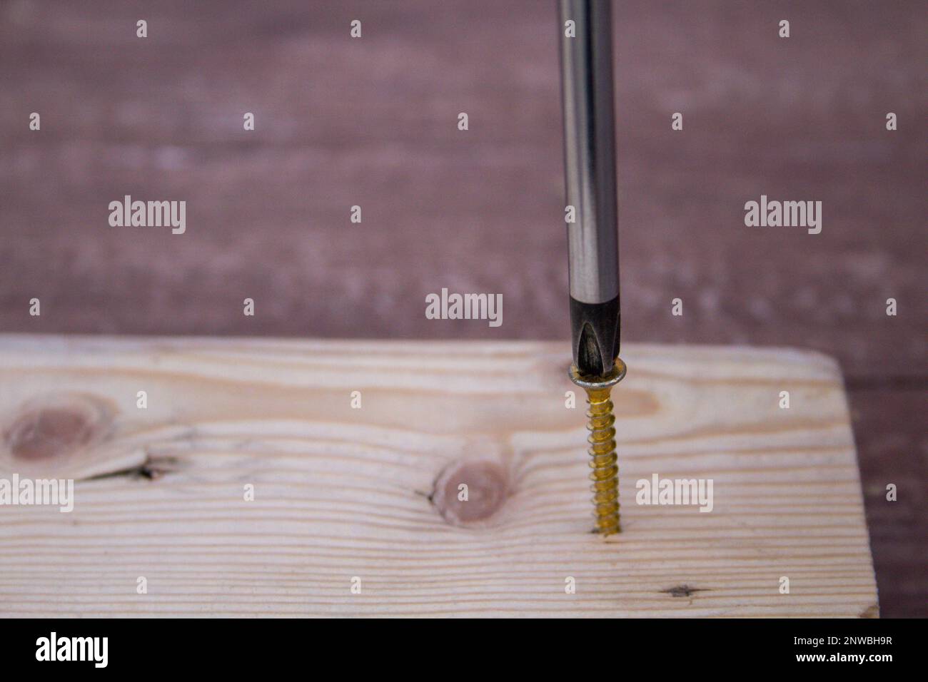 Image of the head of a screwdriver driving a screw into a piece of wood. Homemade DIY and crafts. Stock Photo