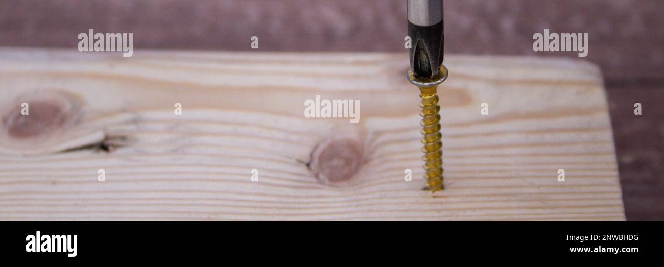 Image of the head of a screwdriver driving a screw into a piece of wood. Homemade DIY and crafts. Horizontal banner Stock Photo