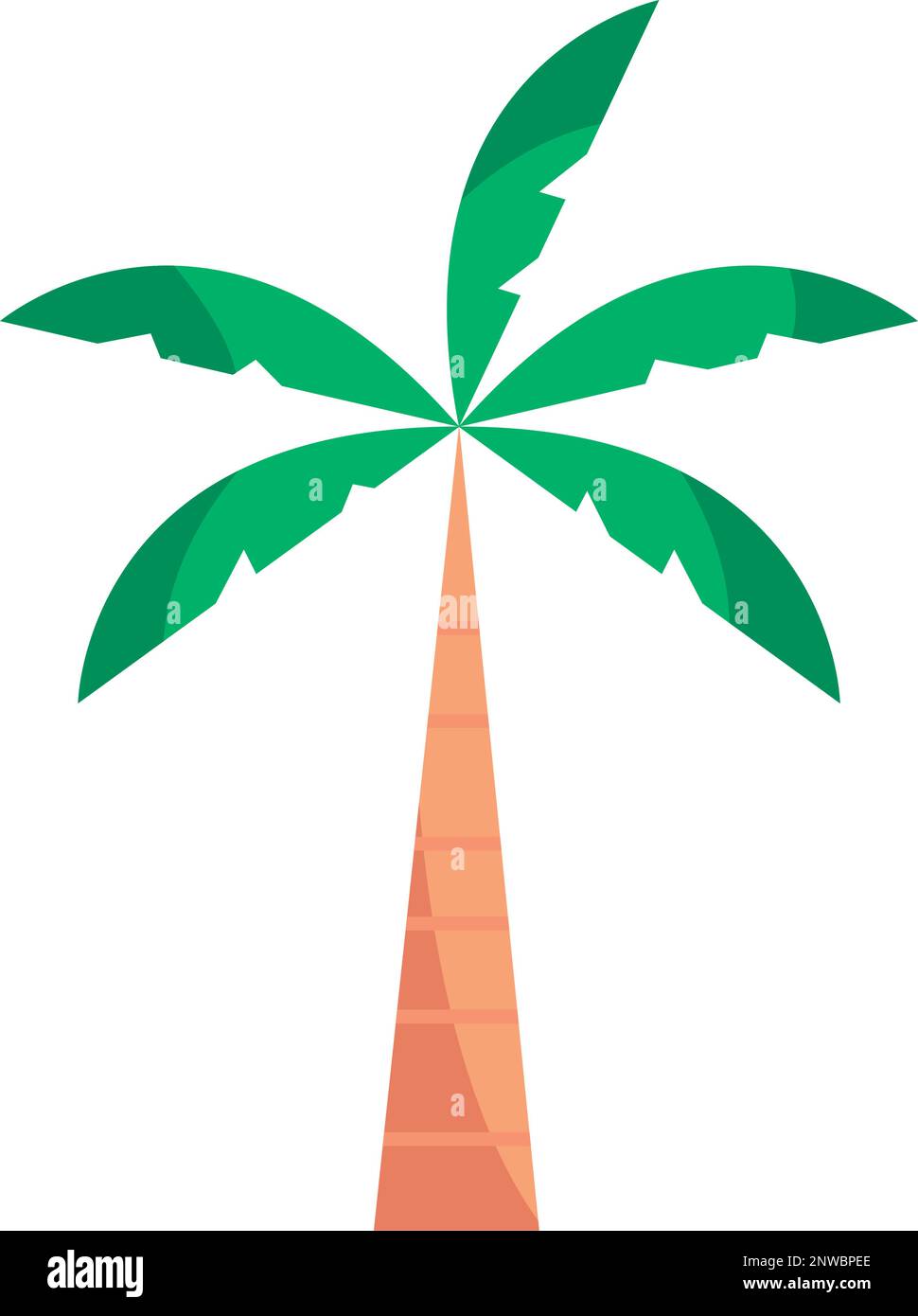 tropical palm tree Stock Vector Image & Art - Alamy