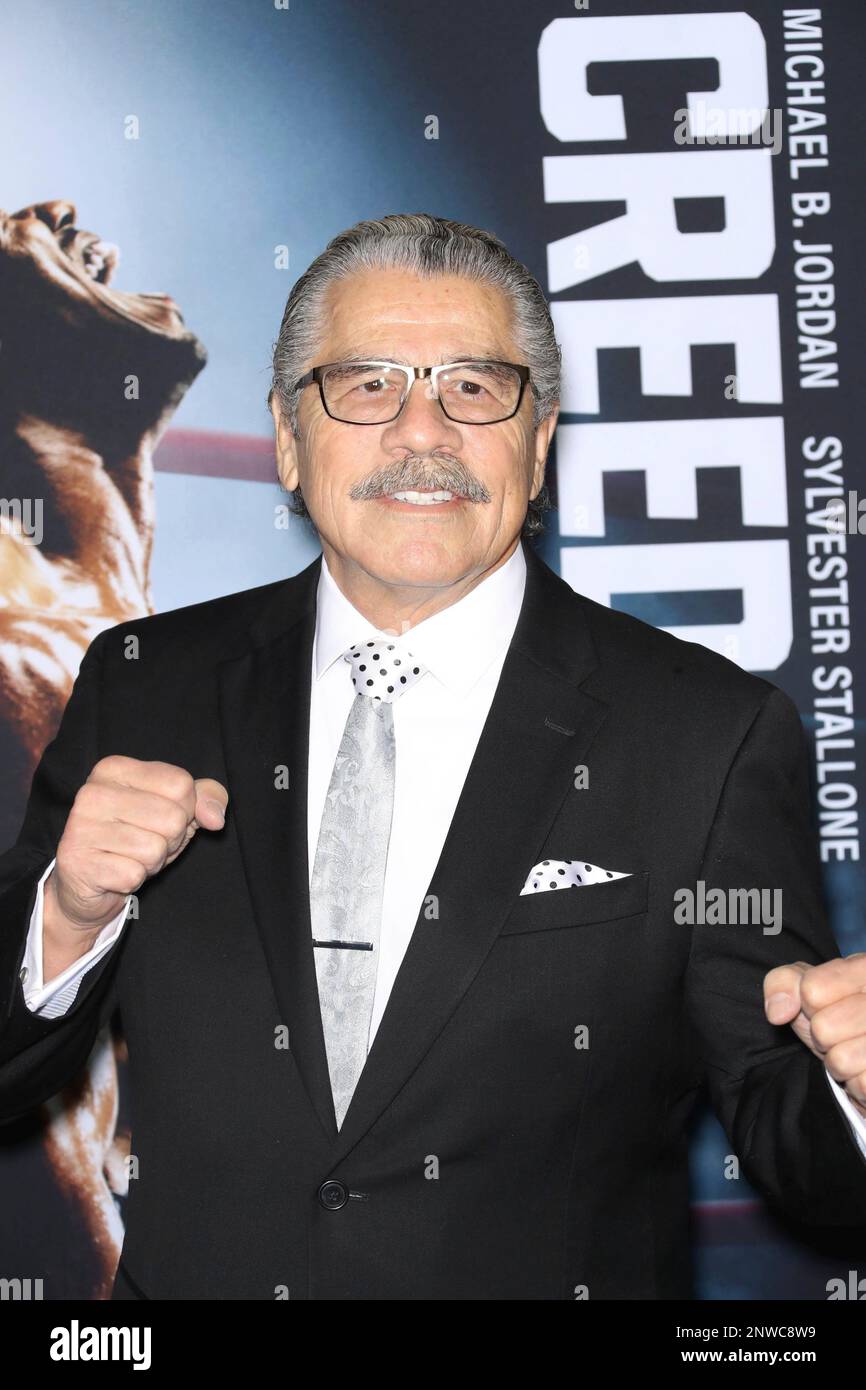 Photo by John Nacion/STAR MAX/IPx 2018 11/14/18 Edward James Olmos at