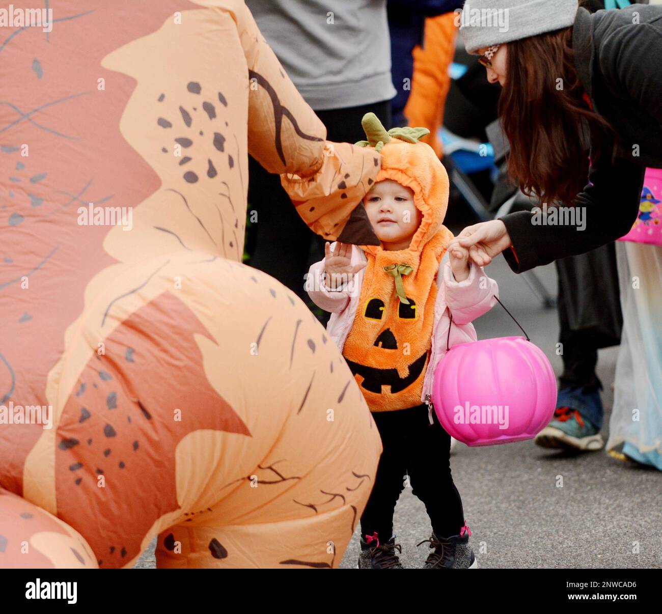 Lily-Ann Petro, 2, greets an inflatable dinosaur on Friday October 26 ...