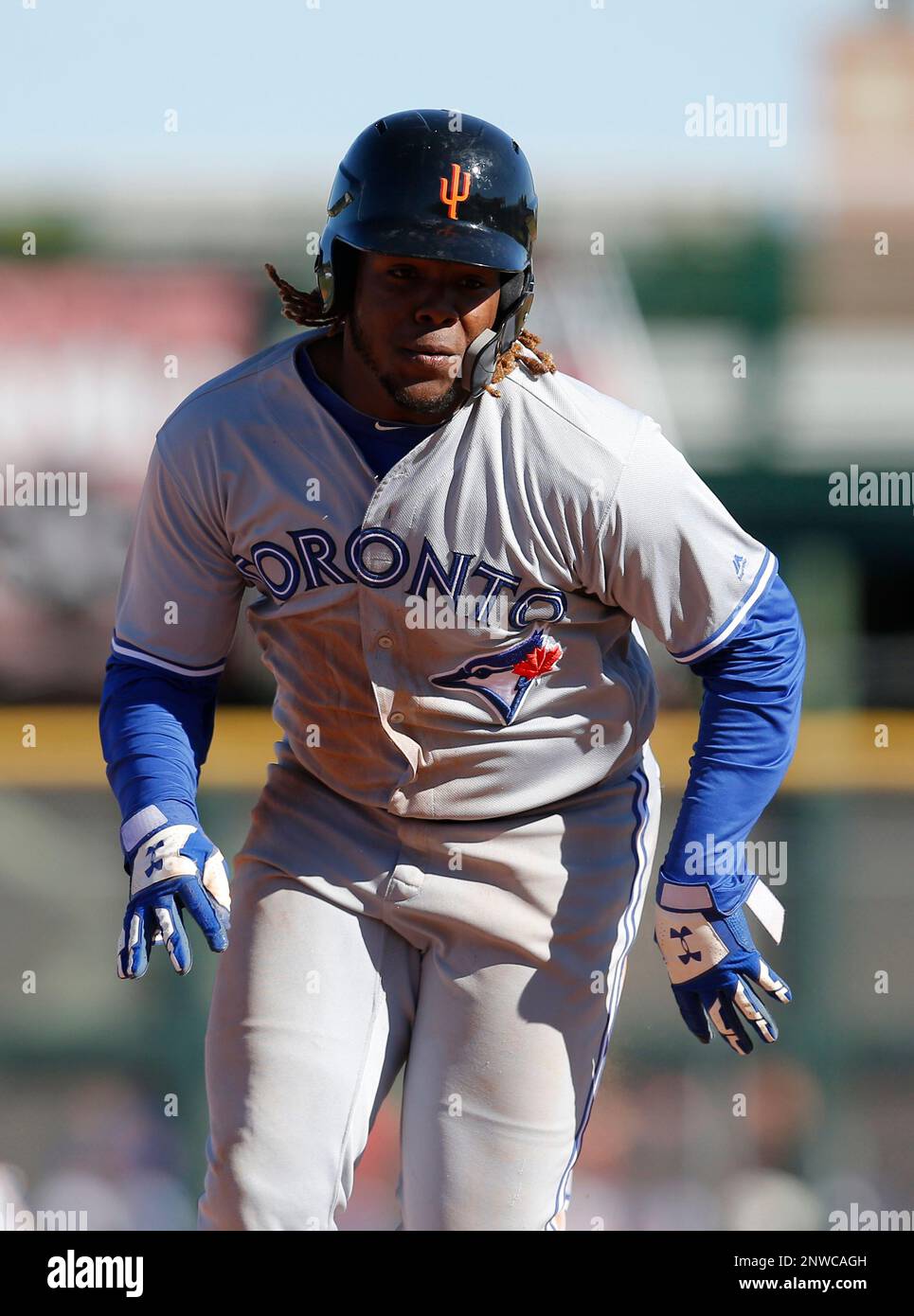 Toronto Blue Jays third baseman Vladimir Guerrero Jr. during a MLB Fall League baseball game on