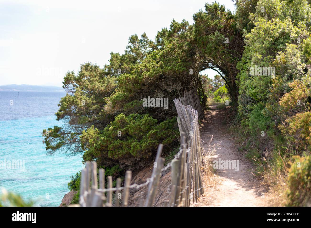 Sentier de promenade en bord de mer, pont naturel végétal, chemin de terre Stock Photo