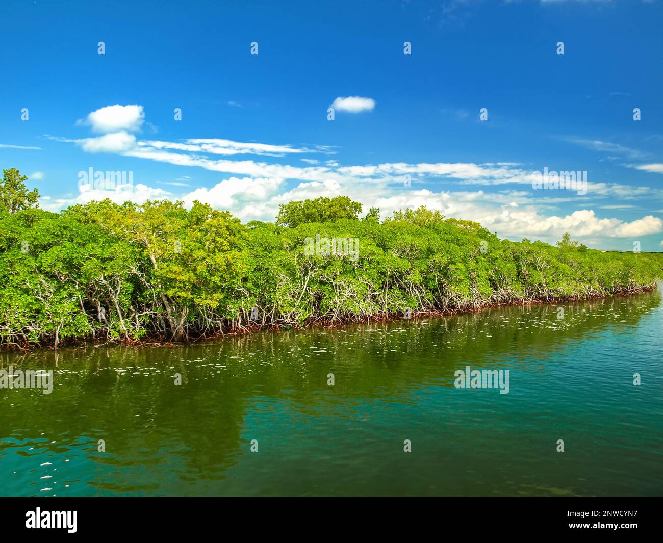 Turquoise blue waters of Key Largo, FL, USA Stock Photo