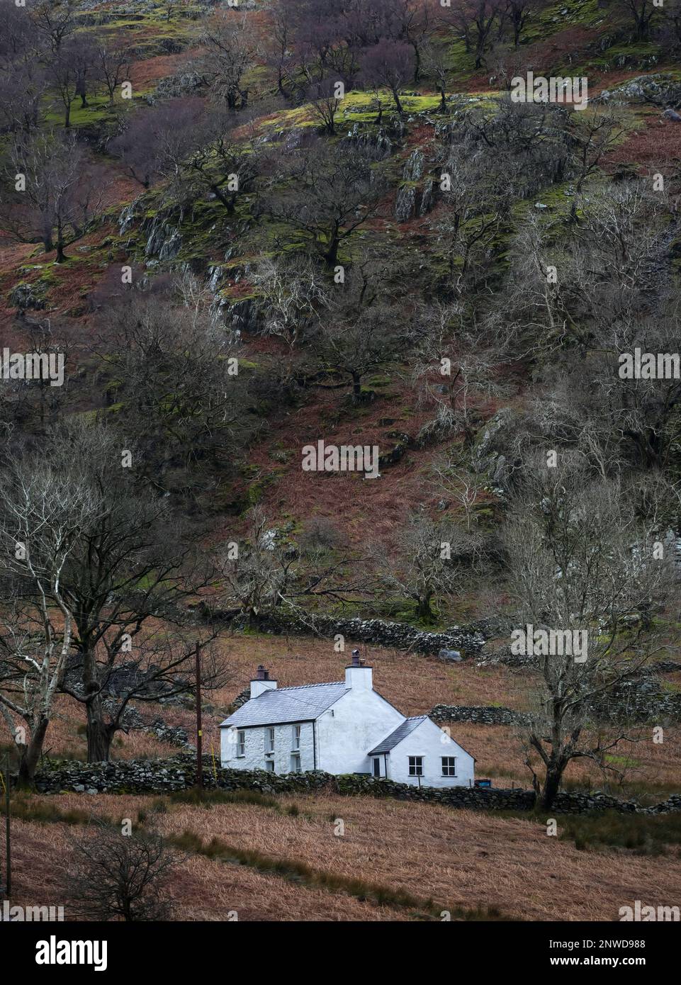 A traditional old Welsh house in the mountains of Snowdonia in North