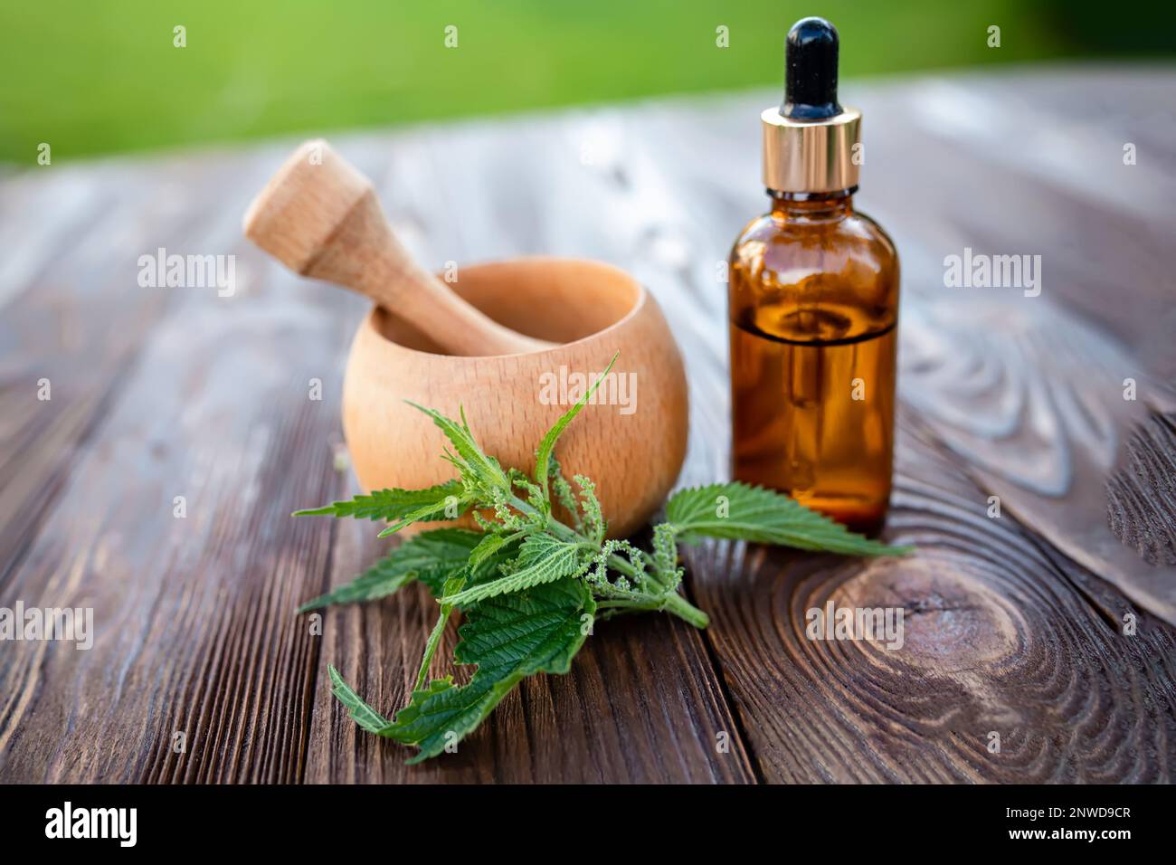Elexir and nettle essential oil. Wooden mortar and cosmetic jar with dispenser on the table near a leaf of fresh nettle Stock Photo