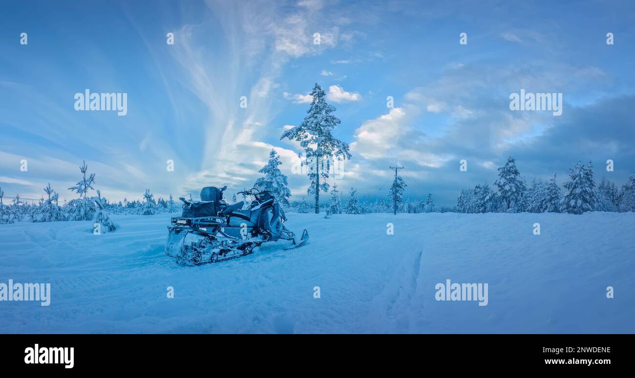 Scenic very frozen snowy young pine tree forest under winter skies, snowmobile covered by hoarfrost. Winter landscape In Northern Sweden, Vasterbotten Stock Photo