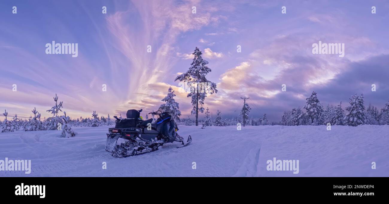 Scenic very frozen snowy young pine tree forest under scenic sunset skies, snowmobile covered by hoarfrost. Winter landscape In Northern Sweden Stock Photo